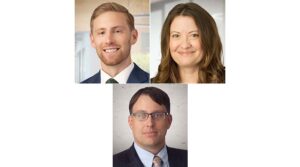 State of Minnesota v. Schierholz and Associates, Inc., and Paul Milton Schierholz