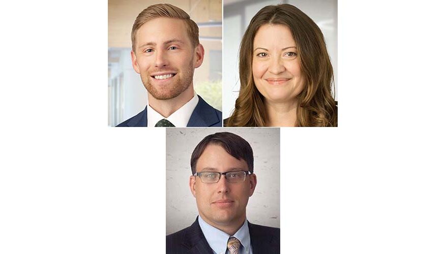 State of Minnesota v. Schierholz and Associates, Inc., and Paul Milton Schierholz