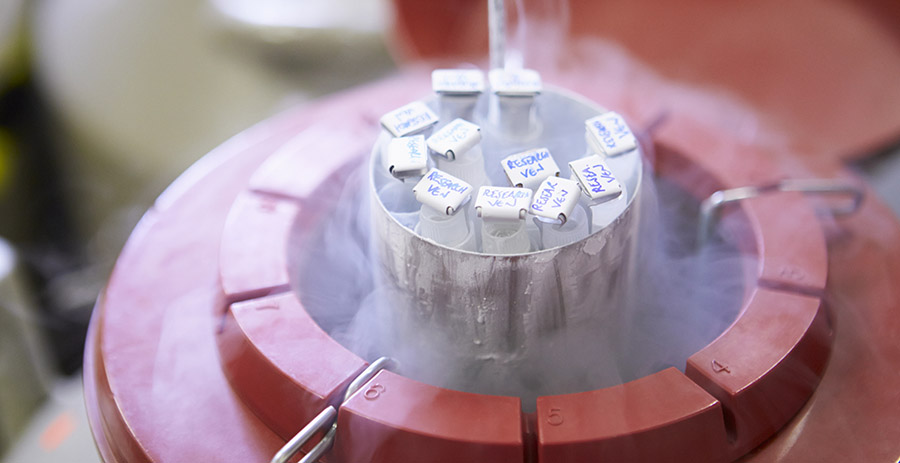 Court rejects emotional-distress damages over destroyed sperm